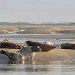 Les Terrasses Du Phare, Vue Et Acces Direct Plage, Garage, Acces Pmr Berck