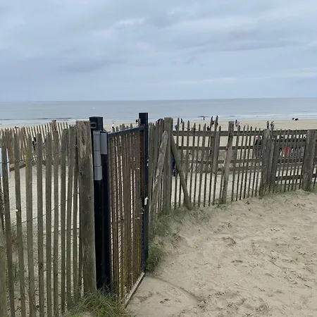 公寓 Les Terrasses Du Phare, Vue Mer, 100m Plage, Pkg, Terrasses, Acces Pmr