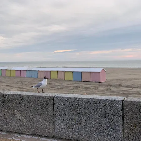 Les Terrasses Du Phare, Vue Mer, 100m Plage, Pkg, Terrasses, Acces Pmr * Berck