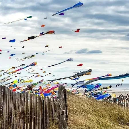 公寓 Les Terrasses Du Phare, Vue Mer, 100m Plage, Pkg, Terrasses, Acces Pmr