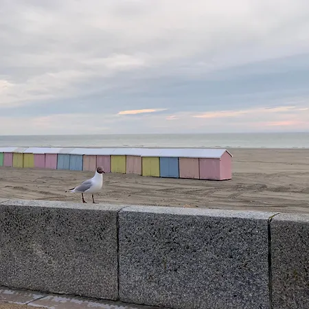 Les Terrasses Du Phare, Vue Et Acces Direct Plage, Garage, Acces Pmr * Berck