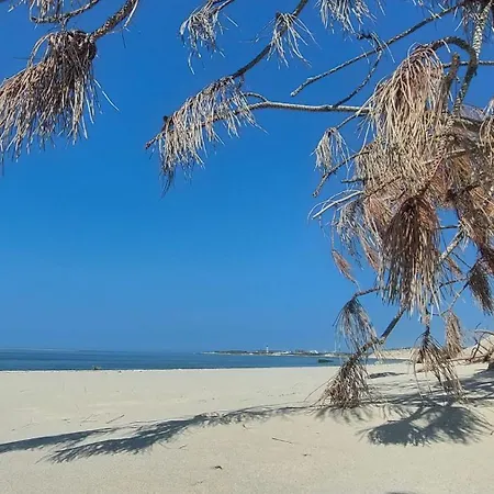 Les Terrasses Du Phare, Vue Et Acces Direct Plage, Garage, Acces Pmr